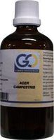 GO Acer campestris bio (100 ml)
