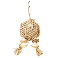 BACK ZOO NATURE FUNNY FLOWER