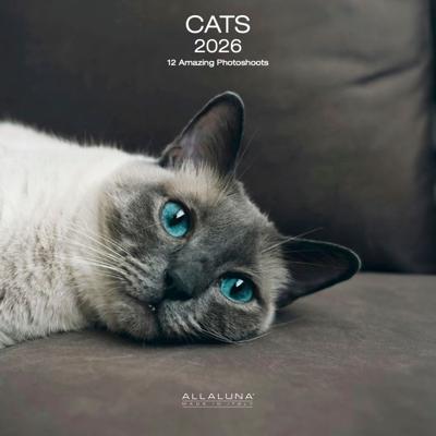 Katten Kalender 2026