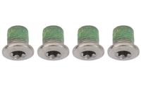 Shimano xt/slx chainring bolts inside