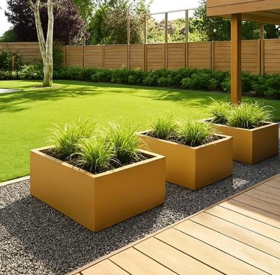 Plantenbak goud - per m³