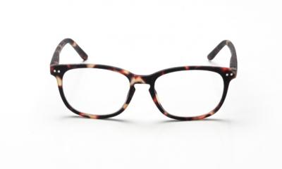 Blueberry Vintage XL Honey Tortoise