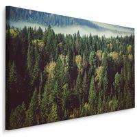 Schilderij - Groen bos met mist, 4 maten, premium print - thumbnail