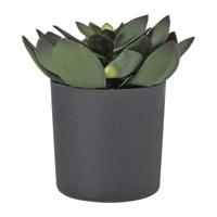 Kunstplant vetplant in pot - groen/zwart - 25 cm