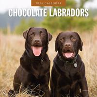 Labrador Retriever Bruin Kalender 2026