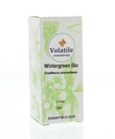 Volatile Wintergreen bio (5 ml)