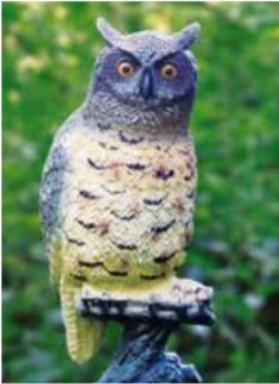 Ubbink Uil groot