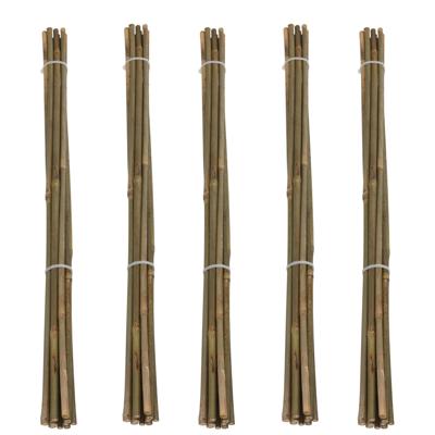 Pro Garden Plantenstokken - 50x - bamboe - H60 cm - plantensteun - bamboestokken/tonkinstokken