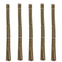 Pro Garden Plantenstokken - 50x - bamboe - H60 cm - plantensteun - bamboestokken/tonkinstokken