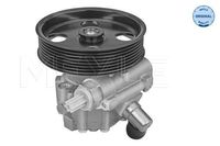 Servo pomp 0146310032