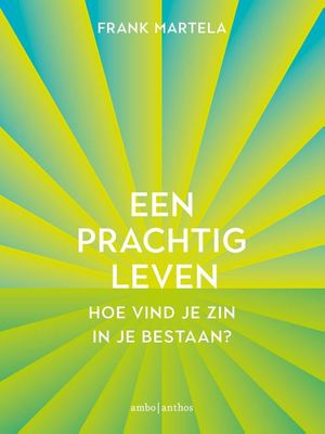 Een prachtig leven - Frank Martela - ebook