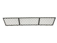 Ventilatiegrille, bumper 6502070067910P