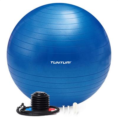 Tunturi Anti Burst Fitness bal met Pomp | Yoga bal 55 cm | 220 kg gebruikersgewicht | Incl Trainingsapp | Blauw