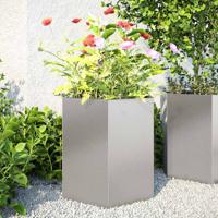 VidaXL Plantenbakken 2 st zeshoek 46x40x45 cm roestvrijstaal