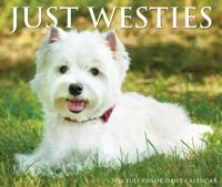 West Highland White Terrier Scheurkalender 2026 Boxed