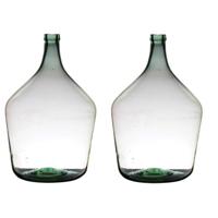 Flesvaas XL - 2x stuks - glas - B29 x H46 cm - Bloemen/takken vaas
