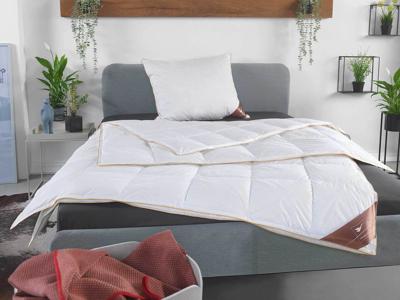 HÄUSSLING Royal 4 seizoenen donzen cassette dekbed licht tot extra warm (140 x 200 cm)