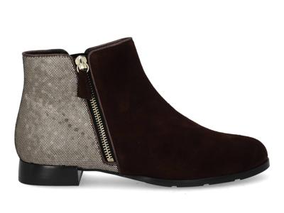 Hassia 302113 2199 chocplum Bruin maat 38