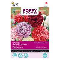 3 stuks Poppies of the world papaver pioenbloemig