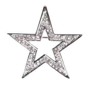 Harrys Horse Star plastronspeld zilver