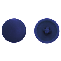 pgb-Europe PGB-FASTENERS | Afdekkap PZ 2 (12mm) R5003 0AFD02N00002050035