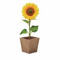Zonnebloem Kweekset