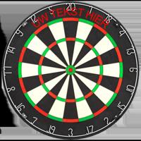Dartshop Leiden Dartbord Bedrukken