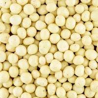 Chocolade yoghurt frambozen 200 gram