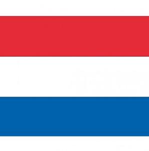 Vlag van Nederland stickers - 7.5 x 10 cm - Binnen/buiten