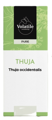 Volatile Thuja (Thuja Occidentalis)