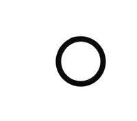 Elvedes O-ring Hayes banjo 2019114 (20x)