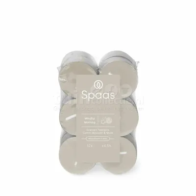 Spaas Clearlights Geurtheelichtjes Mindful Morning 12st