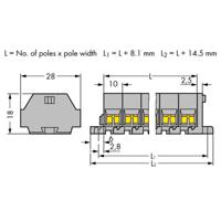 WAGO 261-209 Klemstrook 10 mm Spanveer Toewijzing: L Grijs 25 stuk(s) - thumbnail