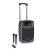 LD Systems ROADBUDDY 10 HHD 2 draadloze mobiele accu luidspreker 863 - 865 MHz