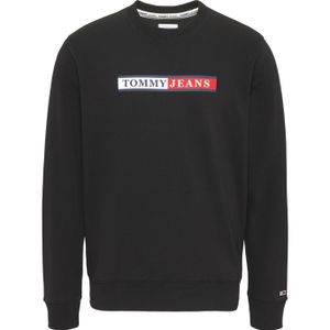 Reg Essential Graphic Crew Sweater