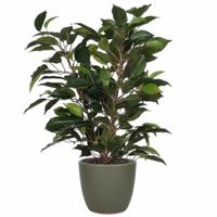 Mica Decorations - groene ficus kunstplant - 40 cm - in plantenpot dennengroen - D13.5 en H12.5 cm