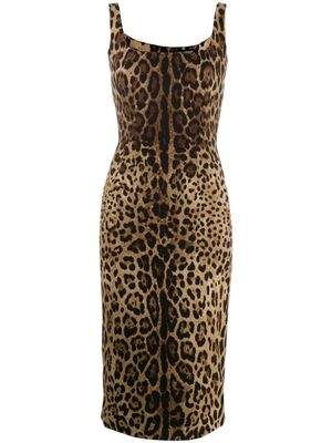 Dolce & Gabbana robe ajustée à imprimé léopard - Noir