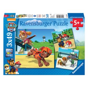 Ravensburger team op 4 poten