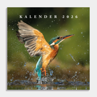 Vogel Kalender 2026