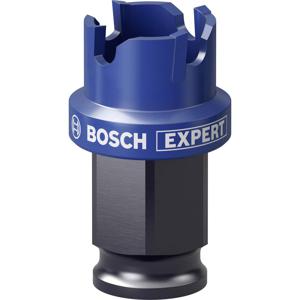 Bosch Accessories EXPERT Sheet Metal 2608900493 Gatenzaag 1 stuks 22 mm 1 stuk(s)