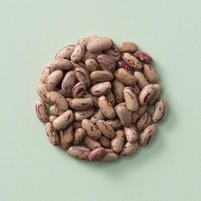 Borlotti bonen (bio) 25 kg baal