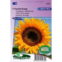 Helianthus Annuus zaden Sunrich Orange zonnebloem - thumbnail