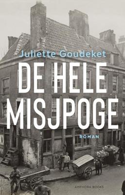 De hele misjpoge (Paperback)