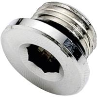 ICH 30153 Plug met O-ring G1/4