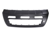 Plaat, bumper 6509013284920P