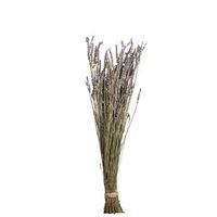 Droogbloemen Lavendel - paars - 58 cm - Leen Bakker - thumbnail