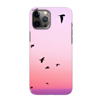 Fly away: Volledig geprint iPhone 12 Pro Max Hoesje