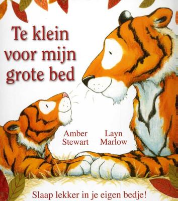 Te klein voor mijn grote bed (Hardback)