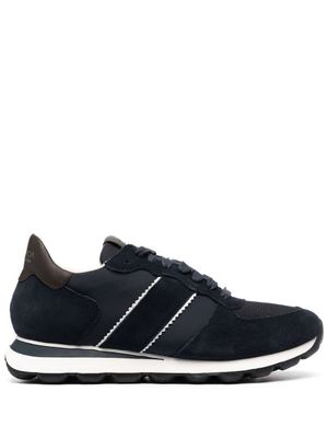 Geox baskets Spherica - Bleu