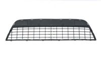 Ventilatiegrille, bumper 6502072556995P